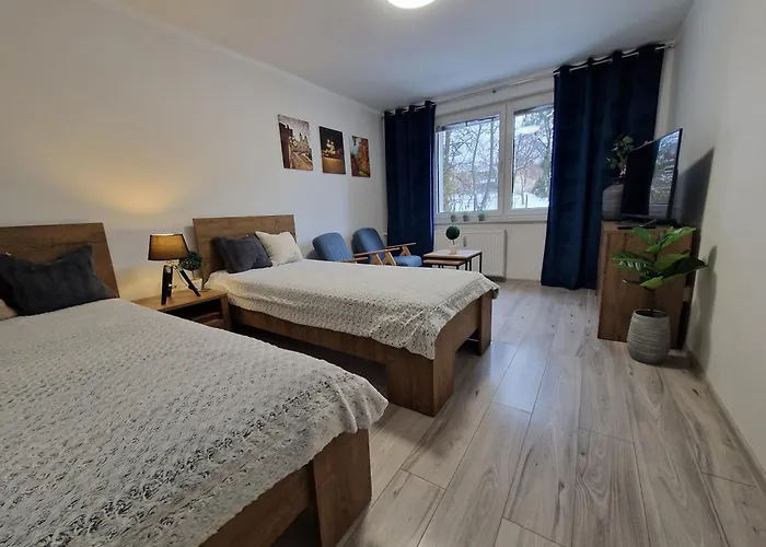 Apartament W Srodmiesciu