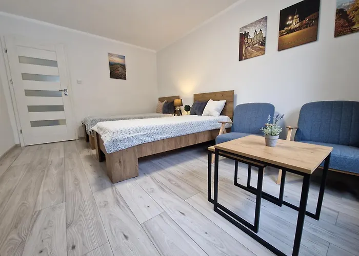 Apartament W Srodmiesciu