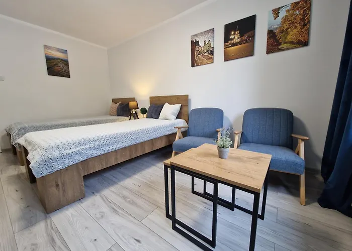 Apartament W Srodmiesciu