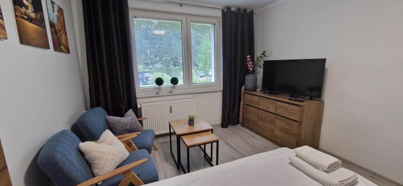 W Srodmiesciu Apartment
